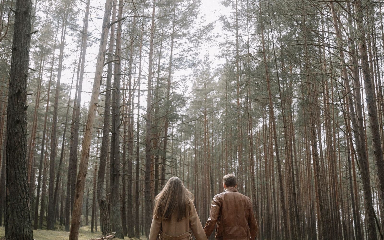 Two people walking through a pine forest with a dog ahead of them
